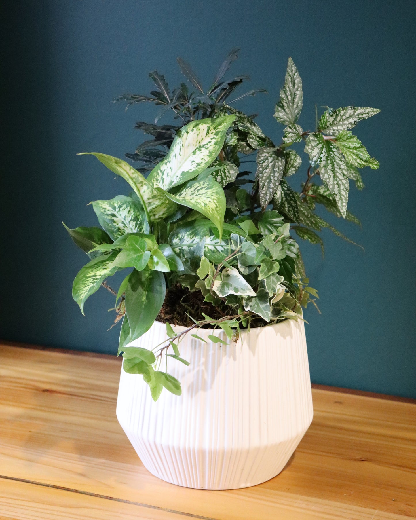 Mixed Tropical Planter - Fuller Flowers