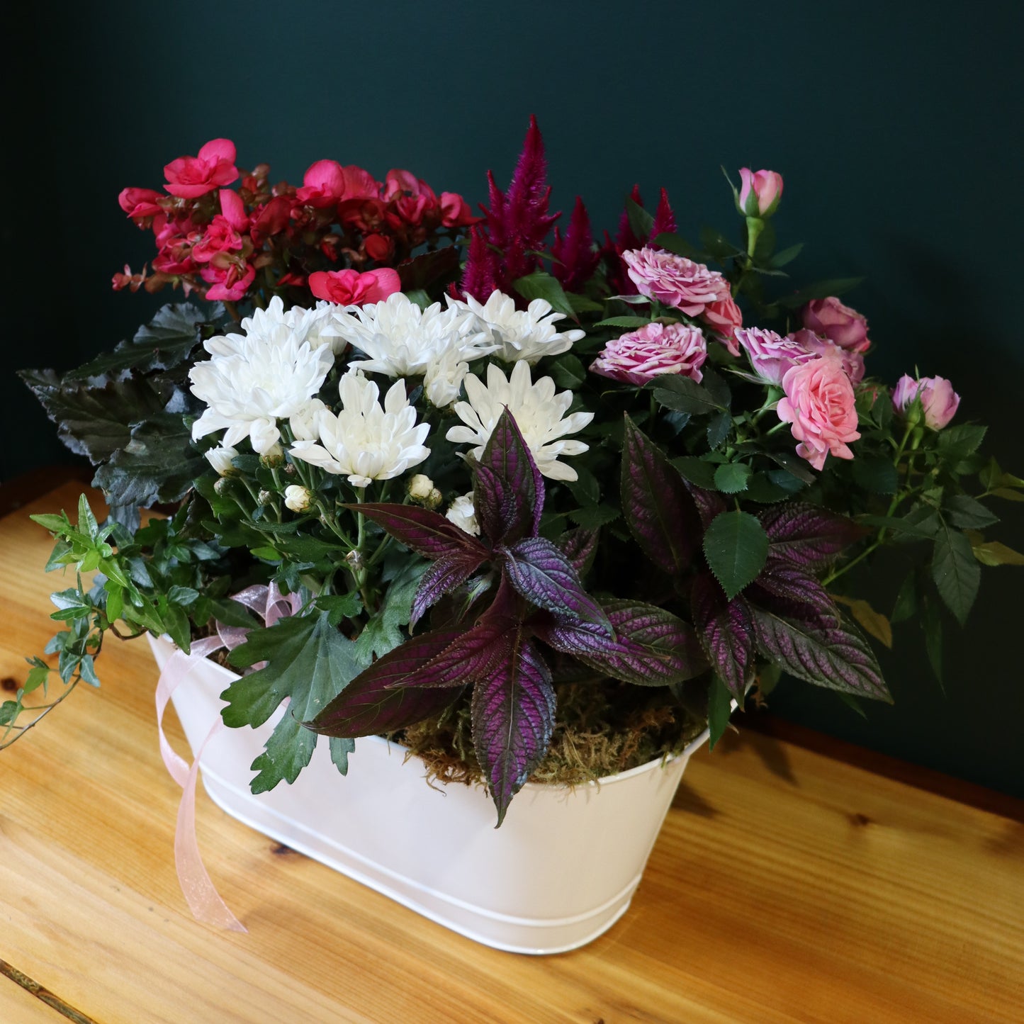 designers choice mixed seasonal planter